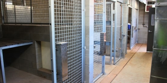 Interior security enclosure with welded wire fencing for restricted access areas.